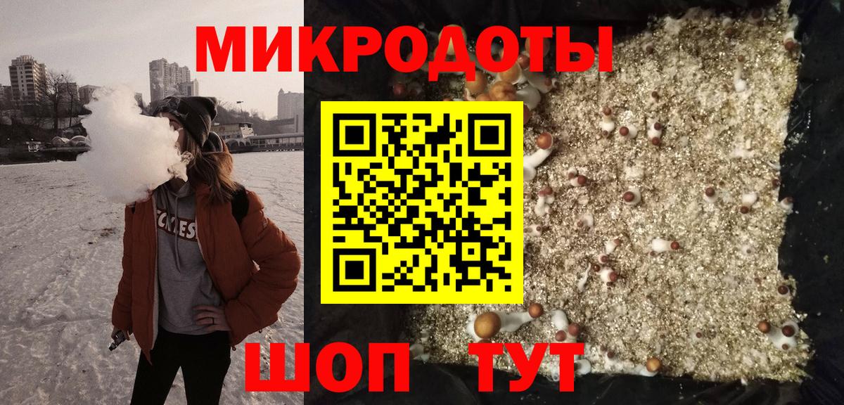 Элиста  Псилоцибиновые грибы мухоморы  Псилоцибиновые грибы прущие грибы  Вход с VPN 