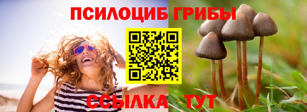 Галлюциногенные грибы MAGIC MUSHROOMS Элиста