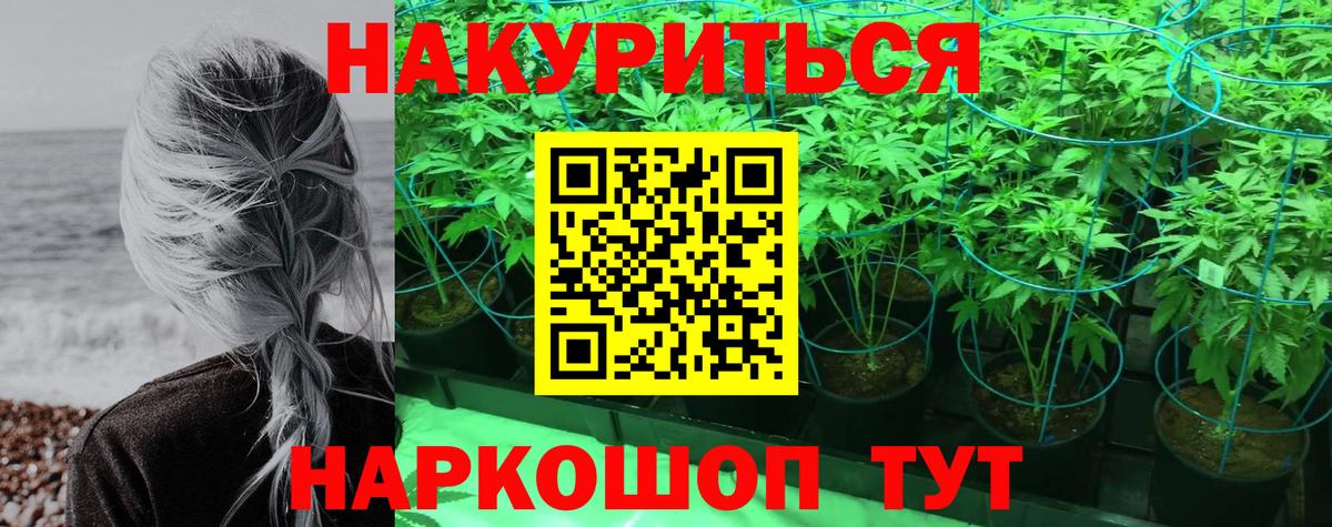 Канабис тримм  Конопля AK-47  Вход с VPN  Элиста  Бошки Шишки MAZAR  Шишки марихуана Ganja 